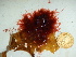  ( - GWS041786)  @11 [ ] Unspecified (default): All Rights Reserved  Unspecified Unspecified
