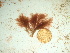  ( - GWS041853)  @11 [ ] Unspecified (default): All Rights Reserved  Unspecified Unspecified