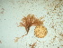  ( - GWS041855)  @11 [ ] Unspecified (default): All Rights Reserved  Unspecified Unspecified