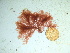  ( - GWS041863)  @11 [ ] Unspecified (default): All Rights Reserved  Unspecified Unspecified