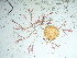  ( - GWS041882)  @11 [ ] Unspecified (default): All Rights Reserved  Unspecified Unspecified