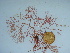  ( - GWS041928)  @11 [ ] Unspecified (default): All Rights Reserved  Unspecified Unspecified