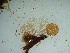  ( - GWS041936)  @11 [ ] Unspecified (default): All Rights Reserved  Unspecified Unspecified