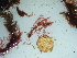  ( - GWS041943)  @11 [ ] Unspecified (default): All Rights Reserved  Unspecified Unspecified
