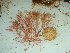  ( - GWS041964)  @11 [ ] Unspecified (default): All Rights Reserved  Unspecified Unspecified