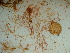  ( - GWS041970)  @11 [ ] Unspecified (default): All Rights Reserved  Unspecified Unspecified