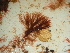  ( - GWS041994)  @11 [ ] Unspecified (default): All Rights Reserved  Unspecified Unspecified