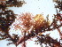  ( - GWS042483)  @11 [ ] Unspecified (default): All Rights Reserved  Unspecified Unspecified