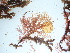  ( - GWS042484)  @11 [ ] Unspecified (default): All Rights Reserved  Unspecified Unspecified