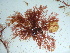  ( - GWS042500)  @11 [ ] Unspecified (default): All Rights Reserved  Unspecified Unspecified