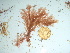  ( - GWS042501)  @11 [ ] Unspecified (default): All Rights Reserved  Unspecified Unspecified