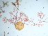  ( - GWS042508)  @11 [ ] Unspecified (default): All Rights Reserved  Unspecified Unspecified