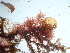  ( - GWS042543)  @11 [ ] Unspecified (default): All Rights Reserved  Unspecified Unspecified