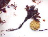  ( - GWS042871)  @11 [ ] Unspecified (default): All Rights Reserved  Unspecified Unspecified