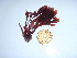  ( - GWS043889)  @11 [ ] Unspecified (default): All Rights Reserved  Unspecified Unspecified