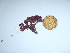  ( - GWS044013)  @11 [ ] Unspecified (default): All Rights Reserved  Unspecified Unspecified