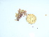  ( - GWS044102)  @11 [ ] Unspecified (default): All Rights Reserved  Unspecified Unspecified