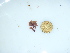  ( - GWS044108)  @11 [ ] Unspecified (default): All Rights Reserved  Unspecified Unspecified