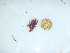  ( - GWS044113)  @11 [ ] Unspecified (default): All Rights Reserved  Unspecified Unspecified