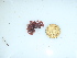  ( - GWS044116)  @11 [ ] Unspecified (default): All Rights Reserved  Unspecified Unspecified
