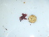  ( - GWS044118)  @11 [ ] Unspecified (default): All Rights Reserved  Unspecified Unspecified