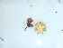  ( - GWS044121)  @11 [ ] Unspecified (default): All Rights Reserved  Unspecified Unspecified