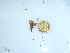  ( - GWS044125)  @11 [ ] Unspecified (default): All Rights Reserved  Unspecified Unspecified