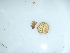  ( - GWS044126)  @11 [ ] Unspecified (default): All Rights Reserved  Unspecified Unspecified