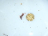  ( - GWS044129)  @11 [ ] Unspecified (default): All Rights Reserved  Unspecified Unspecified