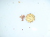  ( - GWS044133)  @11 [ ] Unspecified (default): All Rights Reserved  Unspecified Unspecified