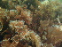  ( - GWS044146)  @11 [ ] Unspecified (default): All Rights Reserved  Unspecified Unspecified