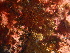  ( - GWS044153)  @11 [ ] Unspecified (default): All Rights Reserved  Unspecified Unspecified