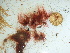  ( - GWS044234)  @11 [ ] Unspecified (default): All Rights Reserved  Unspecified Unspecified