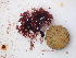  ( - GWS044322)  @11 [ ] Unspecified (default): All Rights Reserved  Unspecified Unspecified