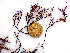 ( - GWS044391)  @11 [ ] Unspecified (default): All Rights Reserved  Unspecified Unspecified