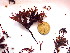  ( - GWS044399)  @11 [ ] Unspecified (default): All Rights Reserved  Unspecified Unspecified