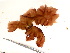  ( - GWS044424)  @11 [ ] Unspecified (default): All Rights Reserved  Unspecified Unspecified