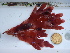  ( - GWS0445592)  @11 [ ] Unspecified (default): All Rights Reserved  Unspecified Unspecified