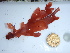  ( - GWS0445594)  @11 [ ] Unspecified (default): All Rights Reserved  Unspecified Unspecified