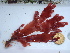  ( - GWS0445595)  @11 [ ] Unspecified (default): All Rights Reserved  Unspecified Unspecified