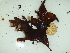  ( - GWS044632)  @11 [ ] Unspecified (default): All Rights Reserved  Unspecified Unspecified