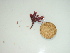  ( - GWS044659)  @11 [ ] Unspecified (default): All Rights Reserved  Unspecified Unspecified