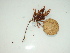  ( - GWS044663)  @11 [ ] Unspecified (default): All Rights Reserved  Unspecified Unspecified