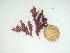  ( - GWS044664)  @11 [ ] Unspecified (default): All Rights Reserved  Unspecified Unspecified
