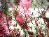  ( - GWS045381)  @11 [ ] Unspecified (default): All Rights Reserved  Unspecified Unspecified