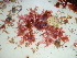  ( - GWS045487)  @11 [ ] Unspecified (default): All Rights Reserved  Unspecified Unspecified