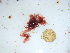  ( - GWS045694)  @11 [ ] Unspecified (default): All Rights Reserved  Unspecified Unspecified