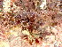  ( - GWS045899)  @11 [ ] Unspecified (default): All Rights Reserved  Unspecified Unspecified