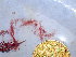 ( - GWS045916)  @11 [ ] Unspecified (default): All Rights Reserved  Unspecified Unspecified
