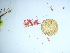  ( - GWS046011)  @11 [ ] Unspecified (default): All Rights Reserved  Unspecified Unspecified